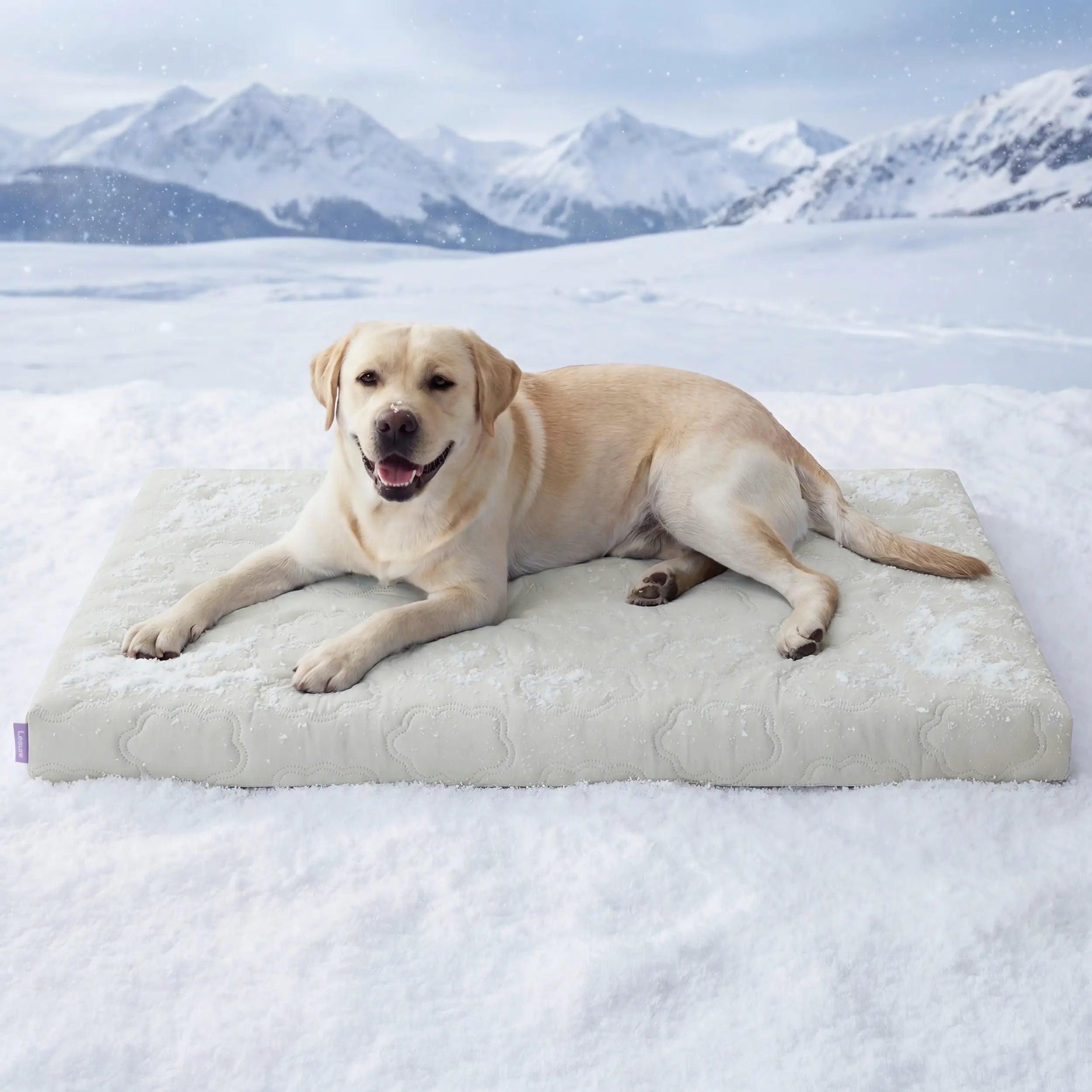 Ultimate Comfort for Your Pup! 🐾 Check out the Lesure Extra Large Orthopedic Dog Mat - Ultra Cooling, Washable & Non-Slip! 🐶💤