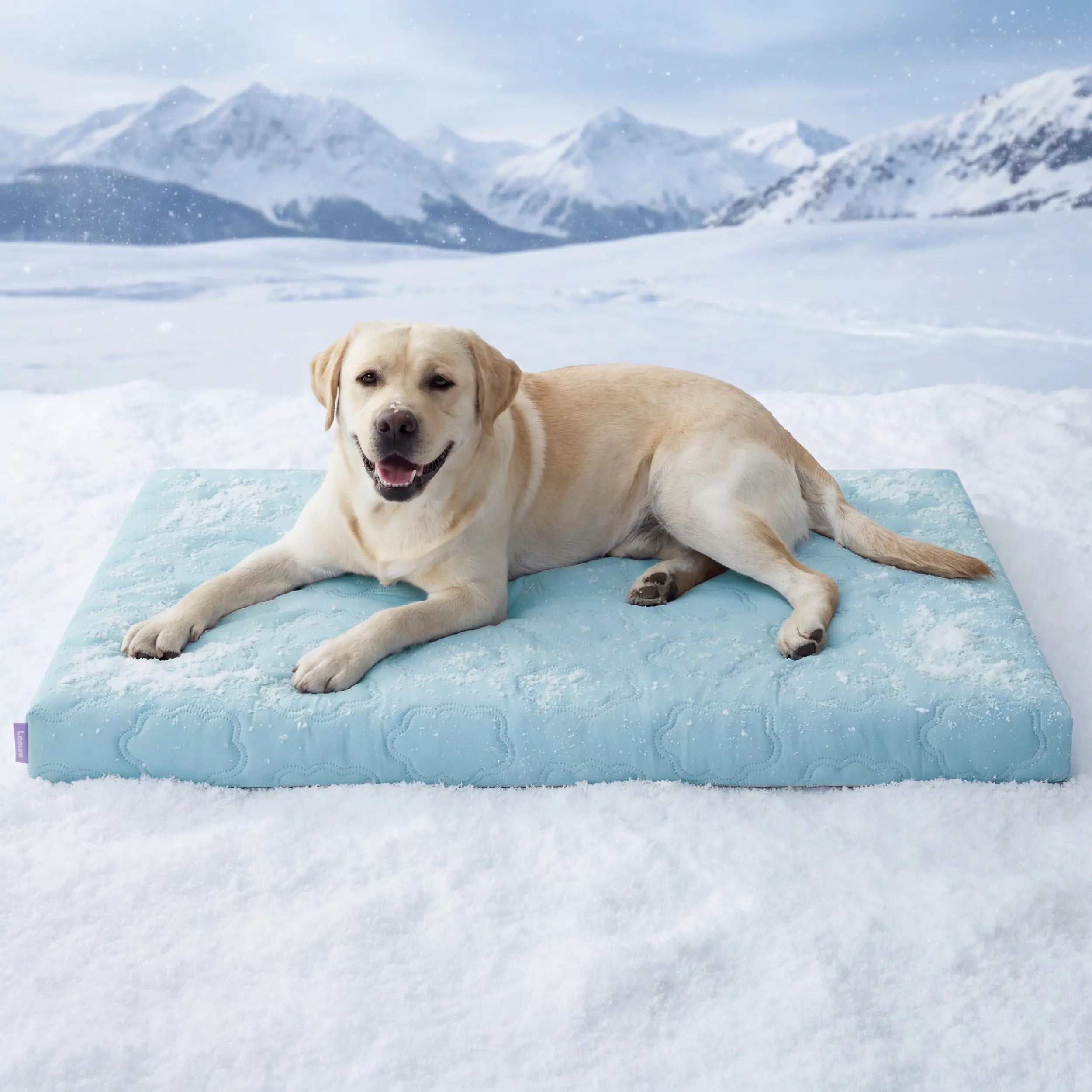 Ultimate Comfort for Your Pup! 🐾 Check out the Lesure Extra Large Orthopedic Dog Mat - Ultra Cooling, Washable & Non-Slip! 🐶💤
